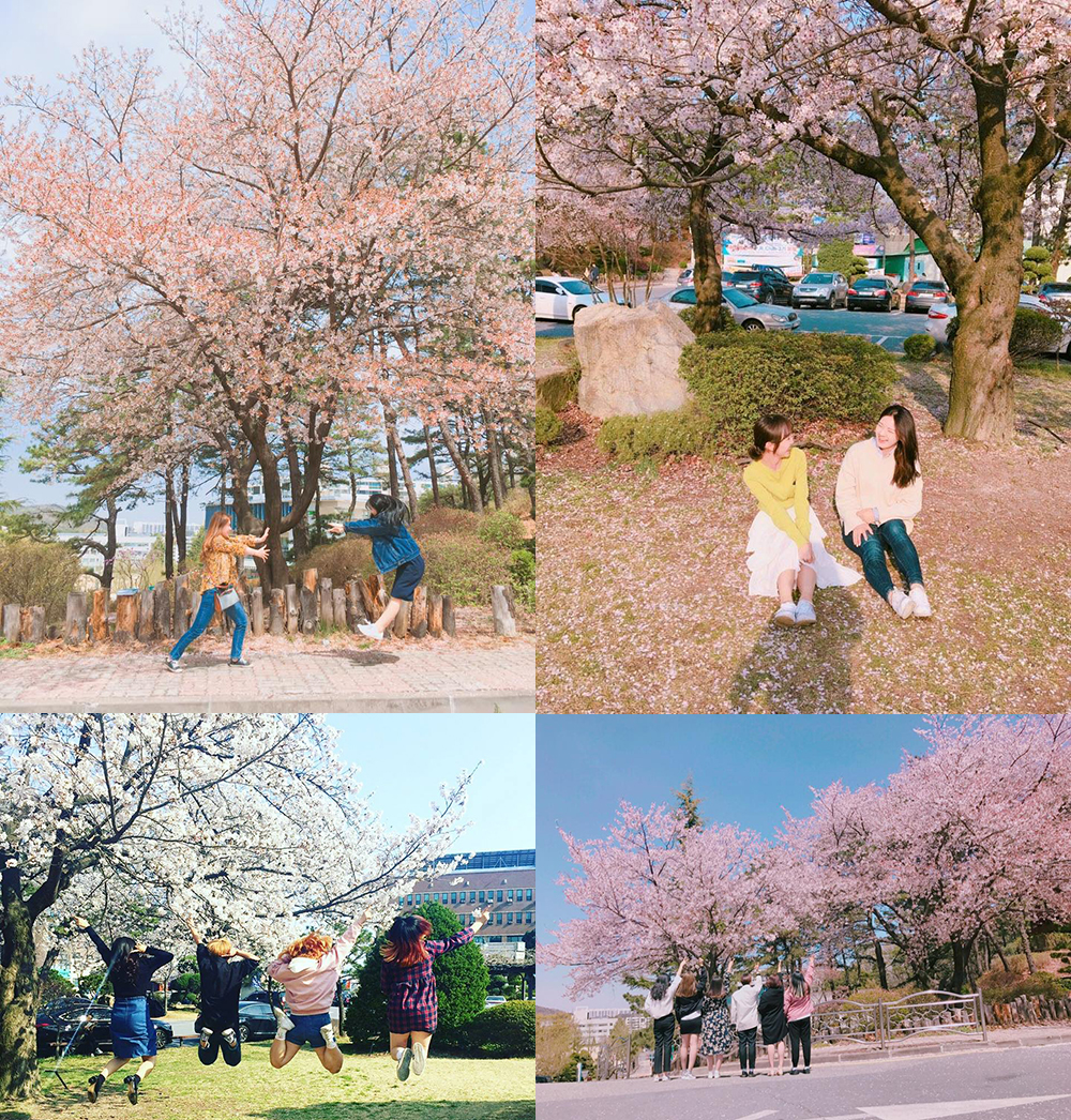 20170501105040